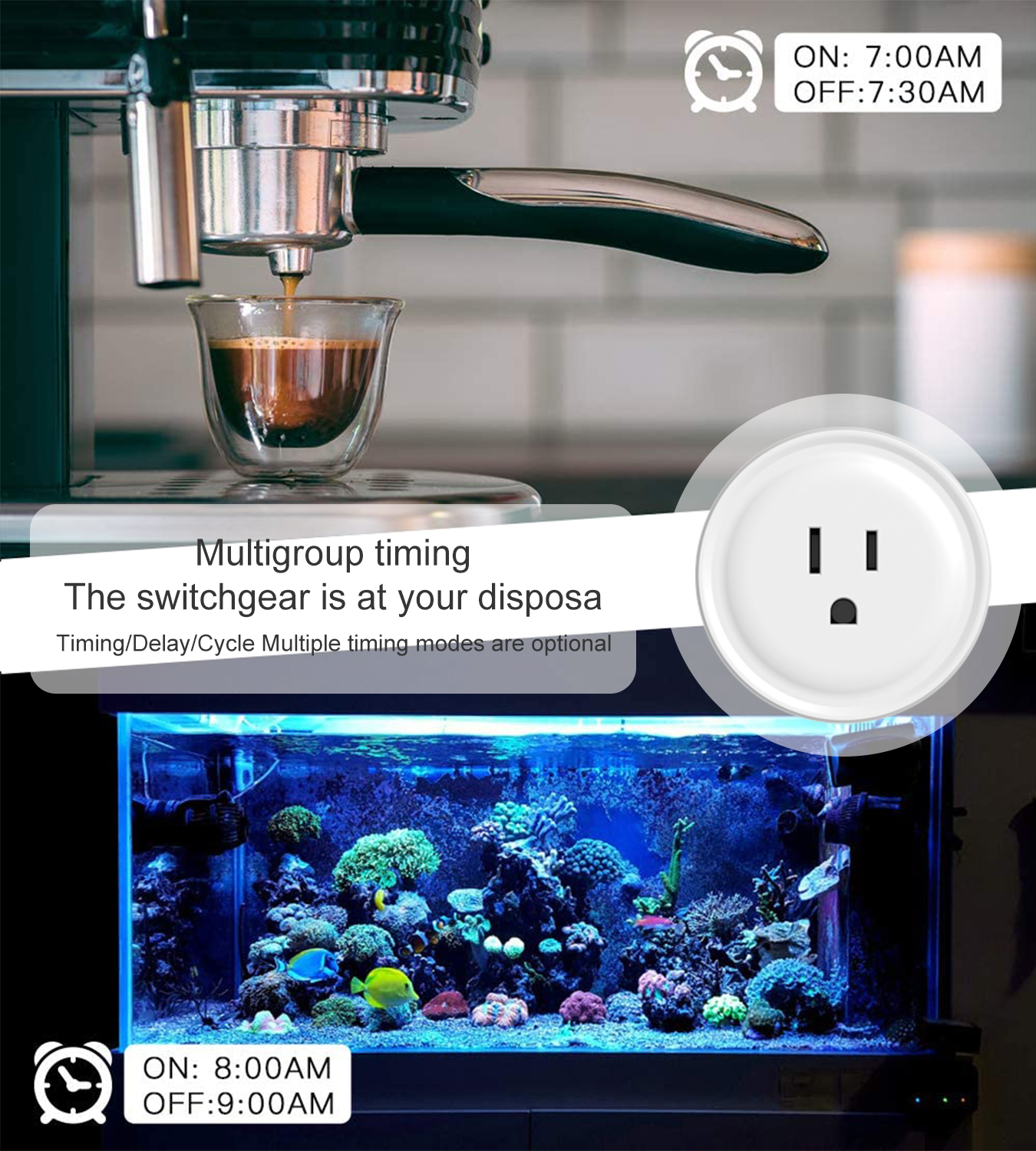 Tuya WiFi US Round 10A Smart P – обзор и цена Smart Home Web