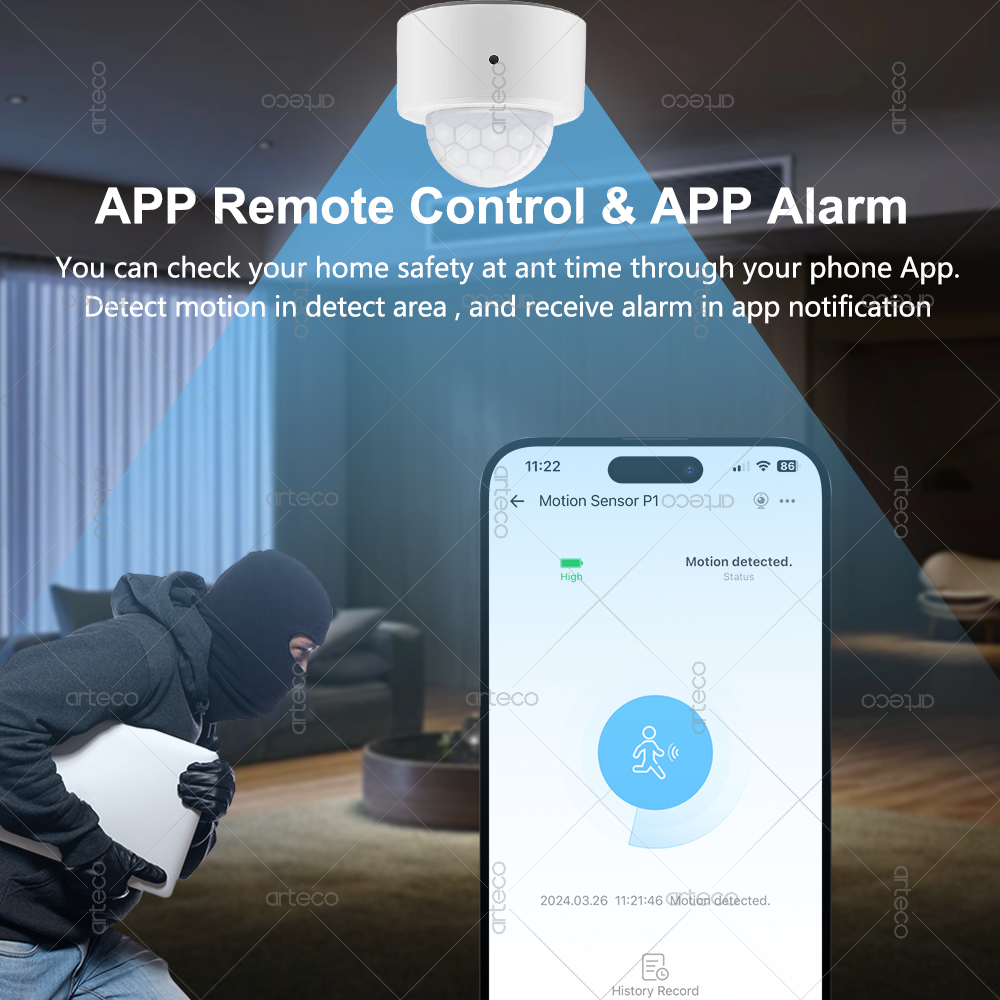 Ewelink Zigbee PIR Motion Sens – обзор и цена Smart Home Bridge