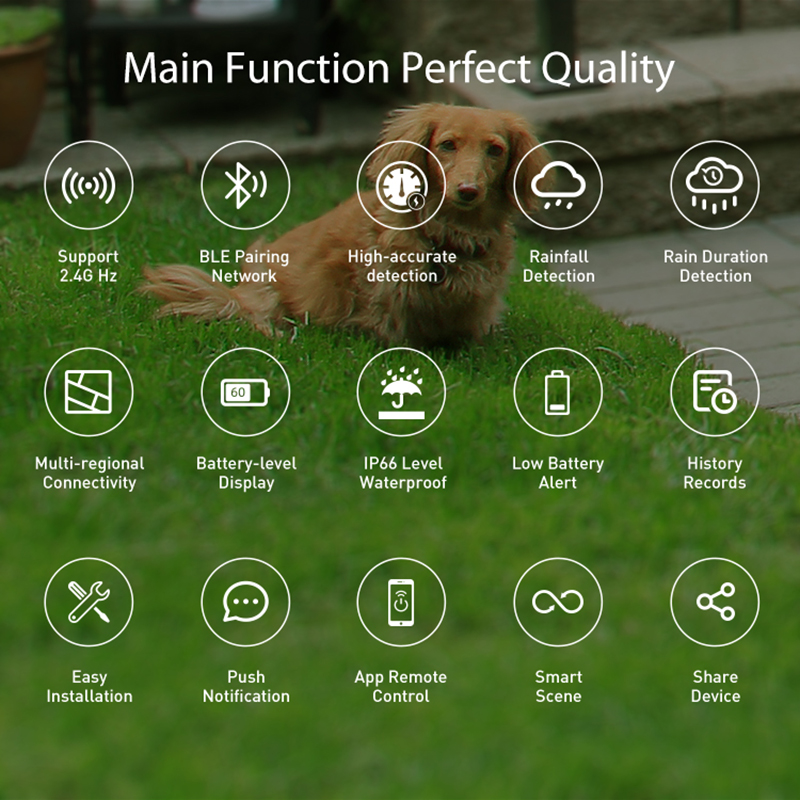 WiFi Rain Sensor Rainfall Dura – обзор и цена Smart Home Nas